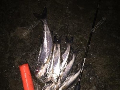五月路亚钓鱼时间选择的关键（掌握最佳钓鱼时间，提升路亚钓技）