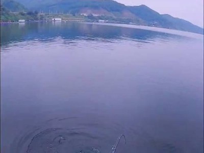 同城钓鱼路亚指南（发现城市中的野钓宝地）