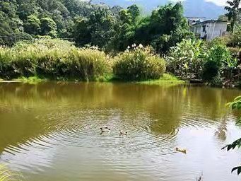 大江大河游泳技巧（畅游大江大河，掌握游泳技巧）