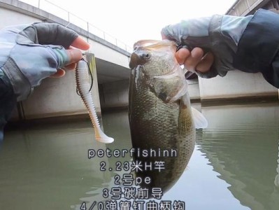 探讨以路亚钓鱼是否需要前导线（解析前导线在路亚钓鱼中的作用和使用方法）