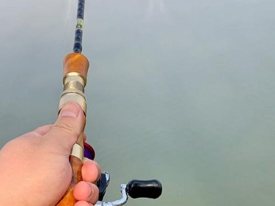 探讨以路亚杆能否用于滑漂钓鱼（探索路亚杆在滑漂钓鱼中的适用性及技巧）