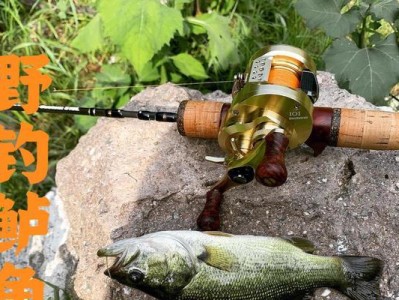 水库钓鱼路亚的最佳饵料选择（提升钓鱼效果，选择最适合的路亚饵料）