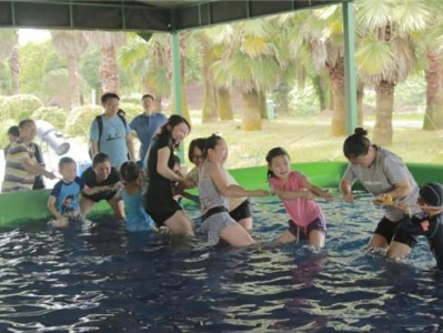 游泳打水仗的技巧与方法（乐享夏日，玩转水上战场）