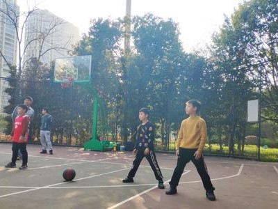 如何打造最强防守？（掌握技巧提升实力）