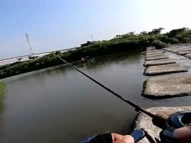 暴雨过后河流路亚，鱼情如何？（探秘暴雨过后河流路亚的好处和技巧）