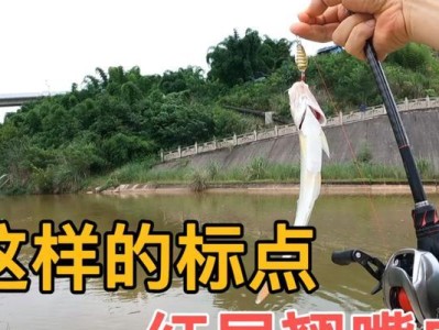 选择什么样线最好进行路亚钓鱼？（为了提升钓鱼技巧和效果，选择合适的线材至关重要！）