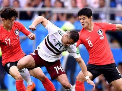 韩国队的世界杯征程（以往成绩、实力与挑战、未来前景）
