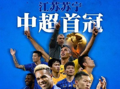 苏宁世界杯进球奖金发放（关注公平公正，激发足球热情）
