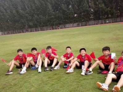 乒乓球明星小孩被打，引发社会关注（打击乒乓球明星小孩，家庭暴力的残酷现实）