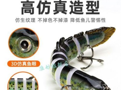 以路亚竿在水库钓鱼的技巧（掌握挂饵方法，提高钓鱼效果）