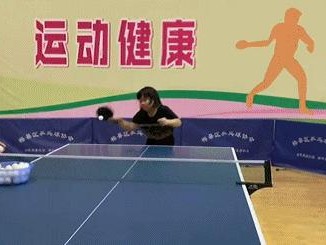 乒乓球训练的关键动作和技巧（提高乒乓球水平的秘籍，轻松掌握关键技巧）