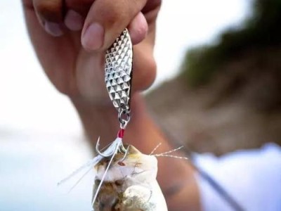 探秘海边礁石路亚钓鱼的最佳饵料选择（海边礁石路亚钓鱼饵料的种类及使用技巧）