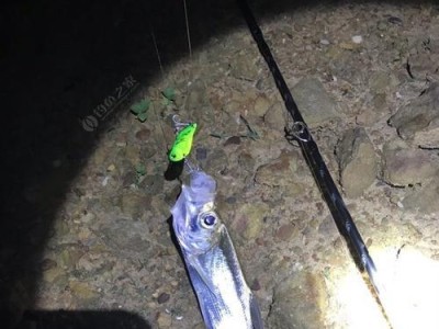 探寻武溪镇钓鱼之路（武溪镇的钓鱼新趋势，路亚运动在兴起）