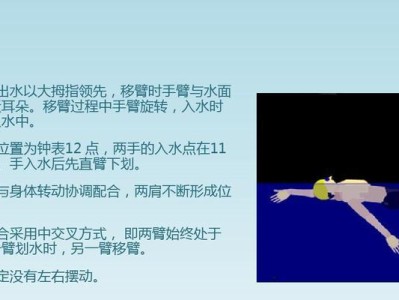 探索游泳自由技巧的多样性（了解不同游泳自由技巧的种类及其特点）