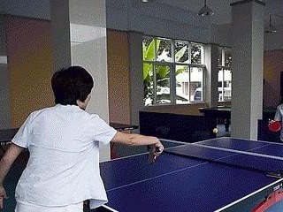 乒乓球的练习方法与技巧（提升乒乓球水平的有效训练方法及技巧）