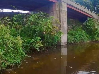探寻德兴市路亚黑坑钓鱼地点的魅力（挖掘德兴市黑坑钓鱼地点的独特之处，打造路亚爱好者的天堂）