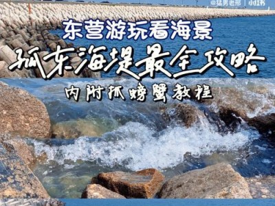 以孤东海堤路亚钓鱼的最佳饵料选择（探寻孤东海堤路亚钓鱼的饵料秘密，打造极致钓鱼体验）
