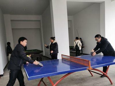 朝阳乒乓球（揭秘朝阳区乒乓球的辉煌历程与传奇人物）