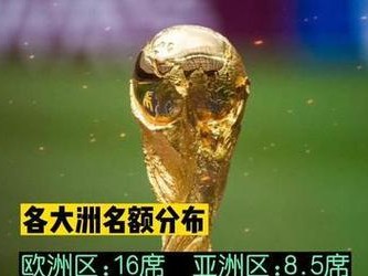 亚洲区世界杯历史名额统计（亚洲球队历年来跻身世界杯的机会与挑战，2002年韩日世界杯是关键）