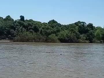 掌握俄罗斯游泳过河技巧，轻松穿越河流（以正确的姿势、技巧和技术，轻松游过河流）