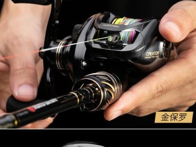 路亚钓鱼竿操作指南（新手必备技巧，快速上手路亚钓鱼）