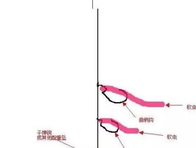探秘以路亚钓鱼的钓浮和钓底技巧（窥探路亚钓鱼的浮漂控制和底床触感的重要性）