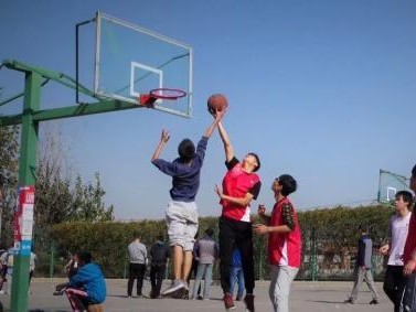 以身高不高如何防守篮球场（巧用速度和技巧，提升防守效果）