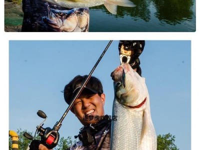 大湖里钓鱼的最佳路亚竿选择（钓鱼爱好者必备的钓具之一，）