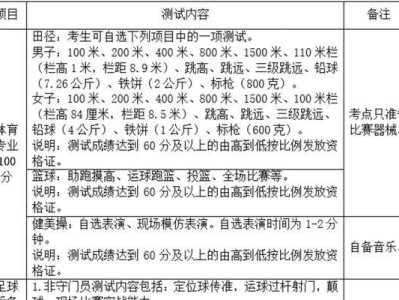 如何进行有效的足球测试项目技巧分析（掌握技巧分析能力一流）