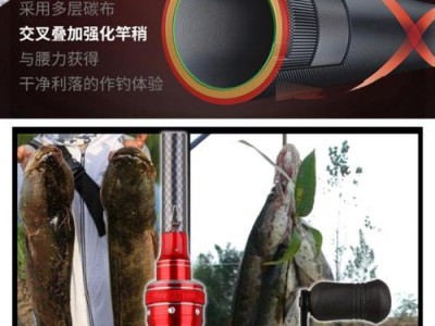 路亚竿钓鱼的好处（提高钓友的娱乐性和效果）
