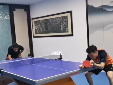 乒乓球的必备装备——球板的选择与使用技巧（如何选择合适的乒乓球球板及提高球技的技巧）