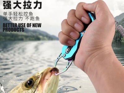 微物路亚钓鱼的技巧和成效（以微物路亚钓鱼，你能轻松捕获丰富的渔获）