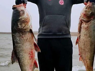 挑战大风大浪，路亚钓鱼乐趣无穷（探索极限，迎接挑战，与风浪共舞的路亚钓鱼之旅）