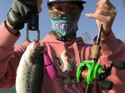 路亚不绑导线能钓鱼吗？（探讨不绑导线路亚钓法的可行性及注意事项）