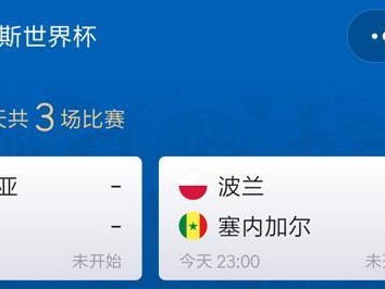 揭秘世界杯历史答题小程序（用一款小程序穿越时空，挑战世界杯知识，见证足球传奇）