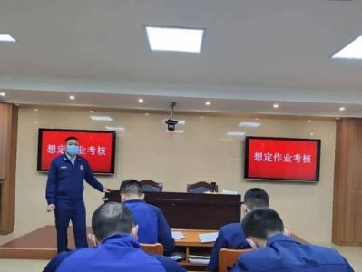 乒乓球攀登技术的发展与应用（揭秘乒乓球攀登技术的奥秘）