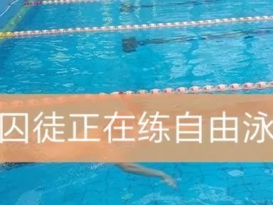 自游泳浮漂抬头打腿技巧（提高自游泳姿势稳定性，掌握浮漂使用技巧）