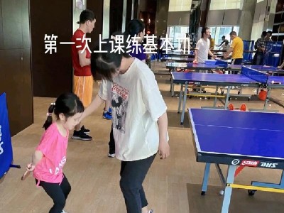 乒乓球学习秘籍（轻松掌握乒乓球技巧的关键步骤）