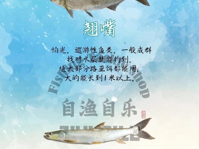 以路亚野钓鱼种类开口时间（探索不同鱼种的开口时间，提升路亚钓鱼技巧）