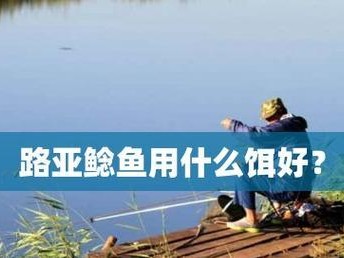 路亚竿装饵技巧大揭秘（轻松掌握路亚竿装饵的正确方法，提升钓鱼效果！）