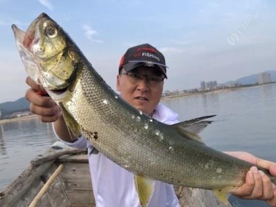 解析以江里钓鱼的技巧与乐趣（探讨路亚与台钓在以江里的适用性）