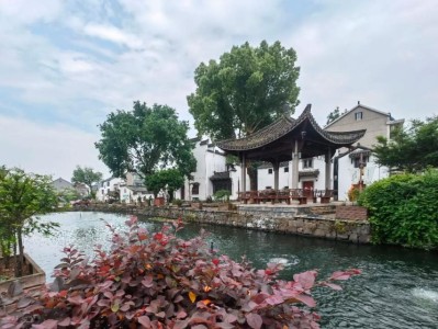 富阳场口路亚钓鱼的最佳地点（探寻富阳场口路亚钓鱼的天堂，畅享钓鱼之乐）