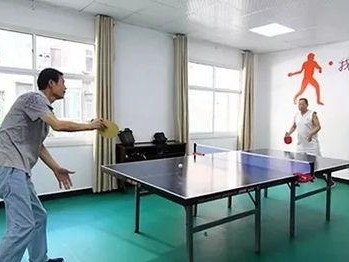 乒乓球训练思路（以乒乓球的训练思路为主题，探讨技术和战术训练的重要性和方法。）