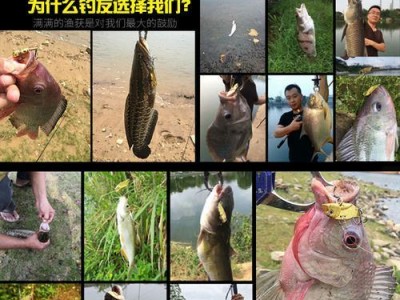 路亚钓鱼新鲜饵料选择秘籍（以路亚钓鱼为主的新鲜饵料如何选择）