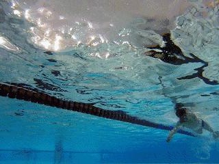 游泳打水技巧教学（打水技巧让你游得更快更稳）