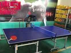 以石柱成人乒乓球训练为主题的文章（探索石柱成人乒乓球训练的益处与特点）