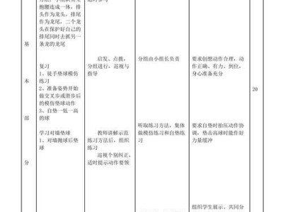 掌握对垫球排球技巧，提高球队实力（细致研究对垫球技巧，提高球队的传球水平）