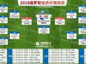 厄瓜多尔足球队在世界杯的历史（征战历程与成就）